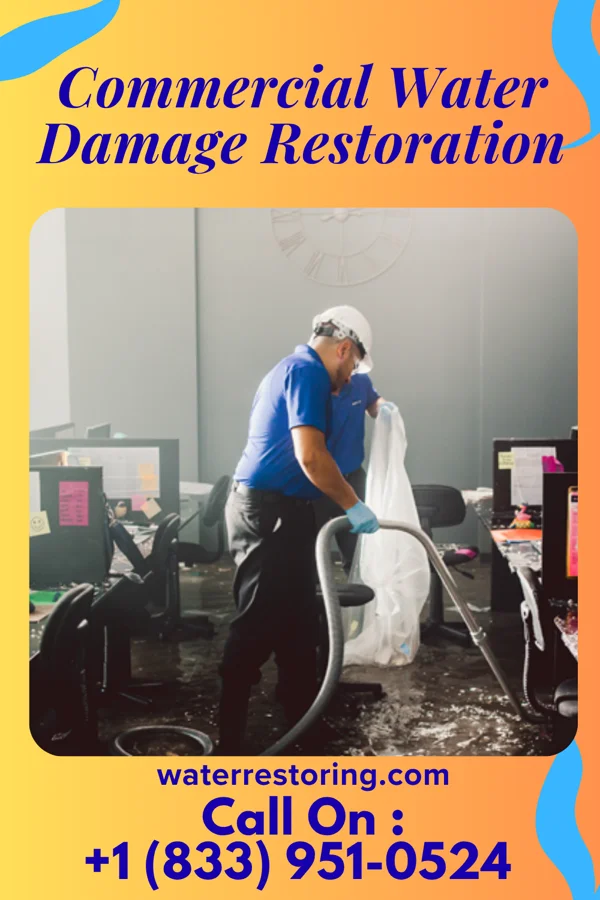 Commercial Water Damage Restoration in Suttons Bay, MI
