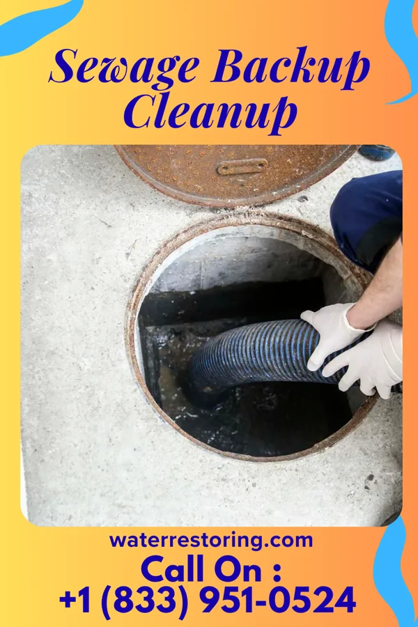 Sewage Backup Cleanup in Suttons Bay, MI